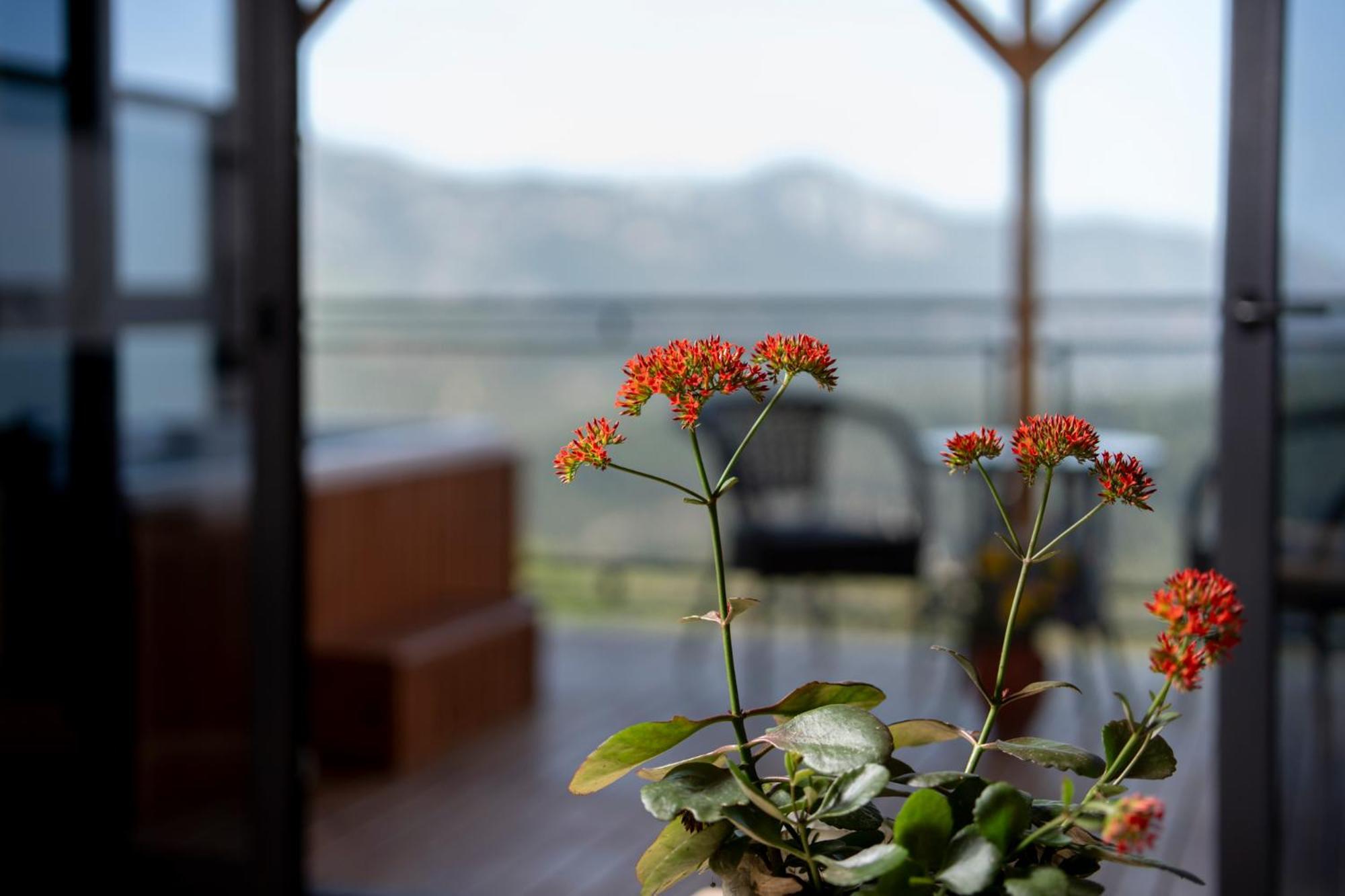 La Veranda Villas Kumluca エクステリア 写真