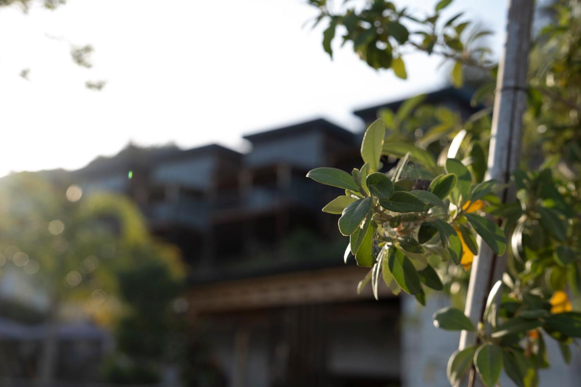 La Veranda Villas Kumluca エクステリア 写真